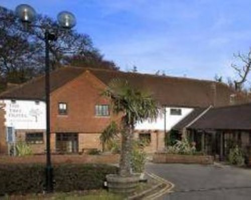 The Tree at Cadmore in High Wycombe